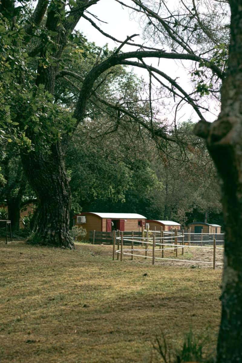 Roulottes Cocooning Au Coeur Des Landes Hotel Mees ภายนอก รูปภาพ