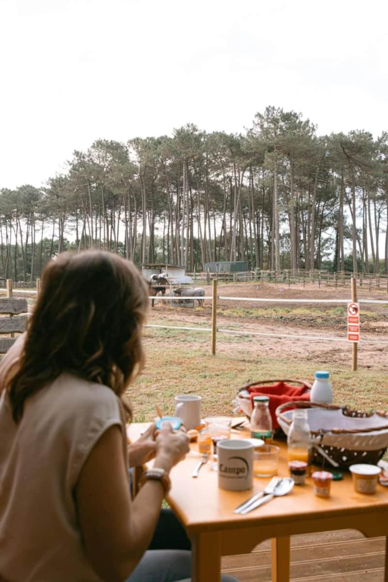 Roulottes Cocooning Au Coeur Des Landes Hotel Mees ภายนอก รูปภาพ