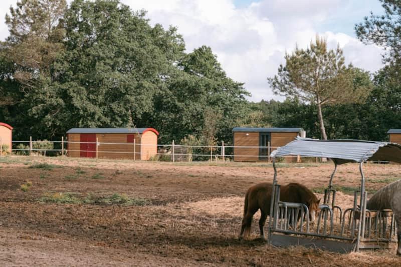Roulottes Cocooning Au Coeur Des Landes Hotel Mees ภายนอก รูปภาพ